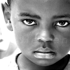 e1d52fa55e4098e89ea7e60f90b7b3f9